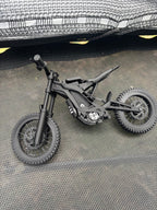 E-ride Pro  ()